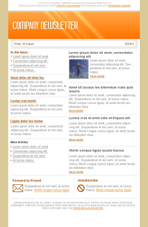 Orange Email Marketing Newsletter Template - Free PSD Files