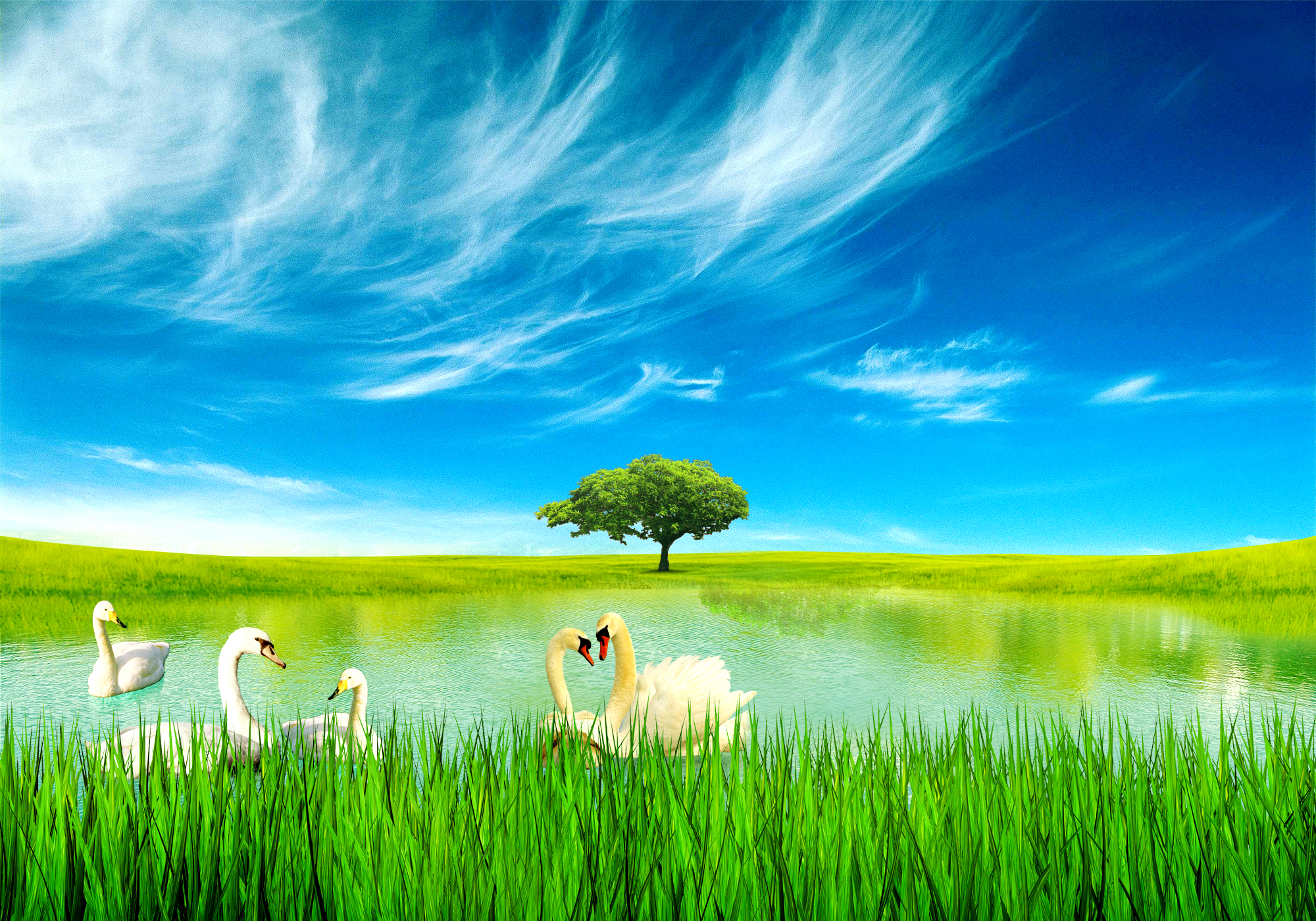 background nature images for photoshop free download