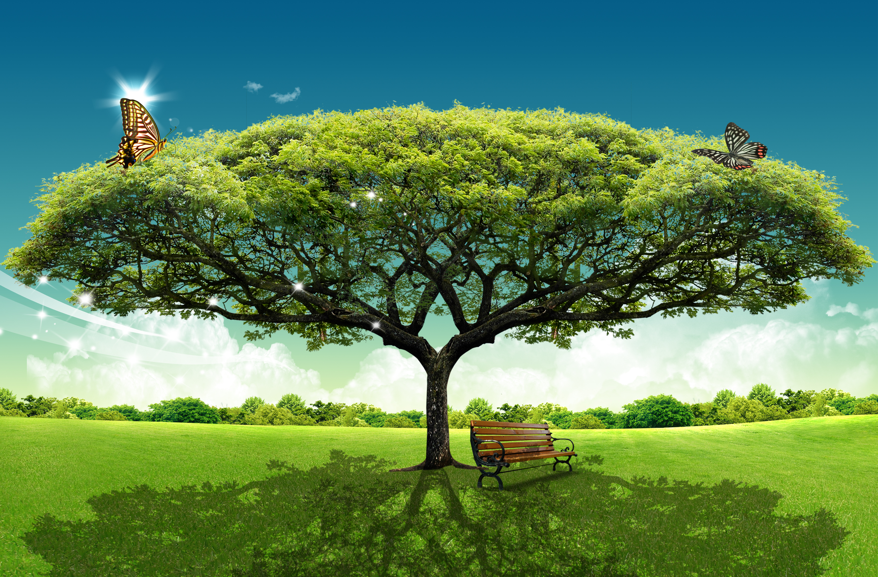 Scenery Wide Tree free psd background - Free PSD Files