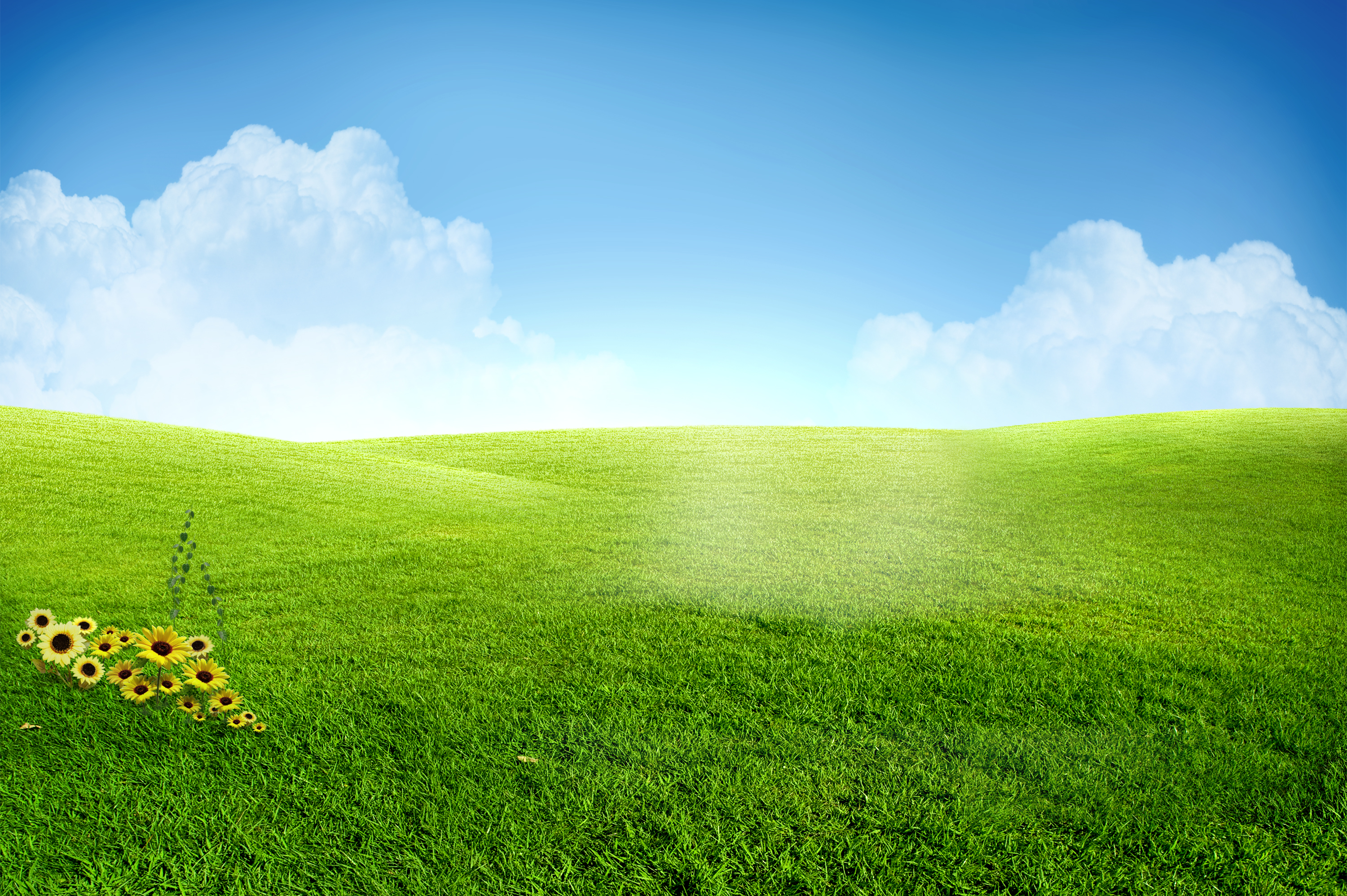 green field fully layered psd file