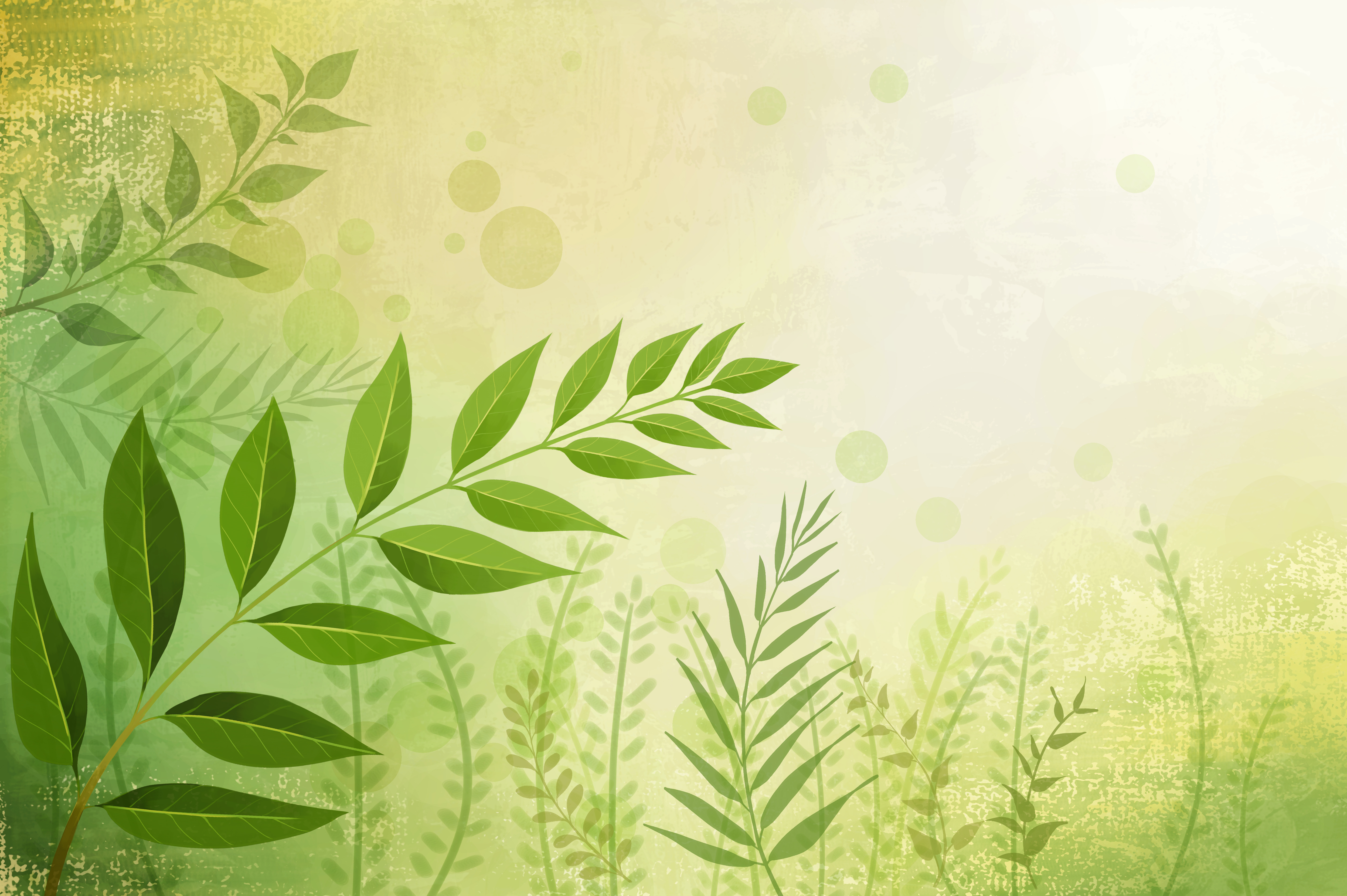 green leaves nature free psd background