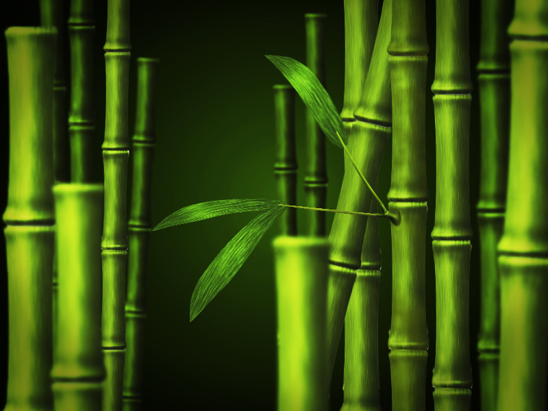 psd_bamboo_background