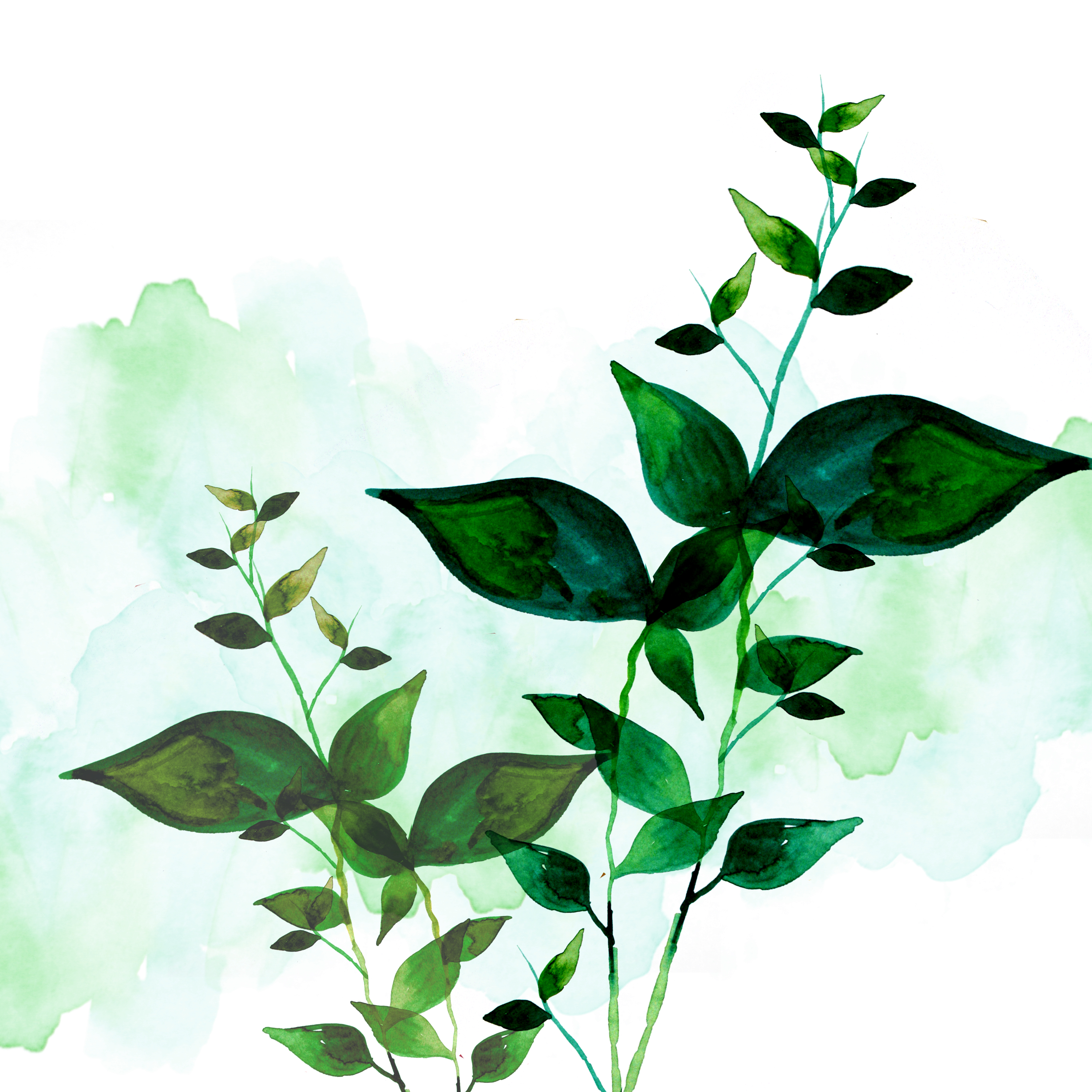 psd_layered watercolor green leaves